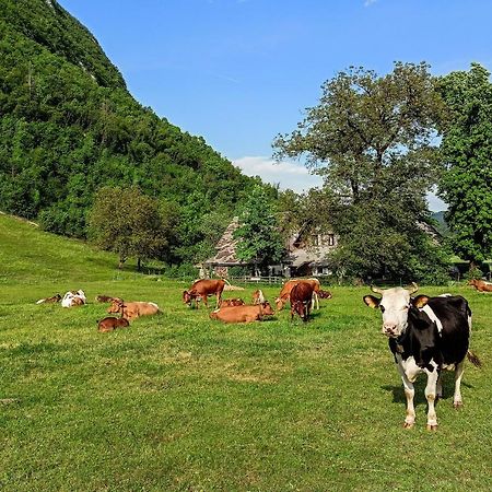 Charming Blacksmith'S House @ Lake Bohinj Βίλα Εξωτερικό φωτογραφία