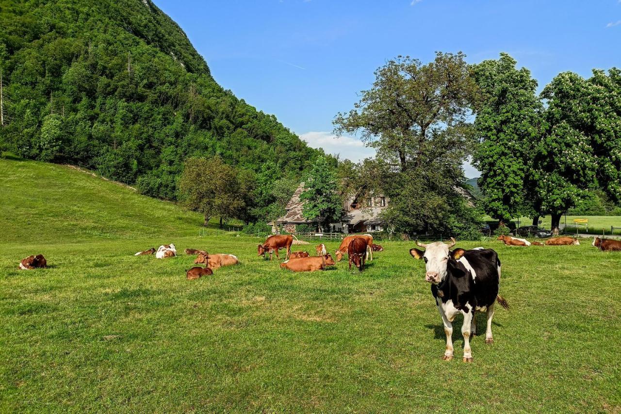 Charming Blacksmith'S House @ Lake Bohinj Βίλα Εξωτερικό φωτογραφία